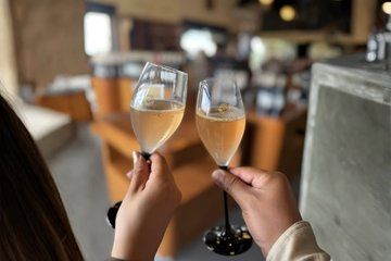 Queretaro Wine and Cheese Tour with Vineyard Tastings in English