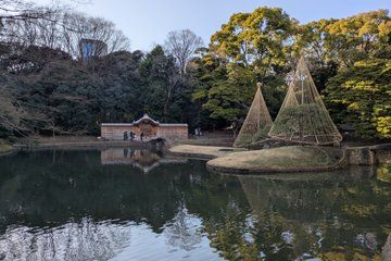 Korakoen Guided Tour Learn About Japanese Gardens
