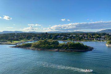 Private Shore Tour: Oslofjord Boat Cruise & SUP Island Escape