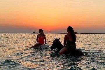 Horseback Riding Swimming Desert and Beach Hurghada