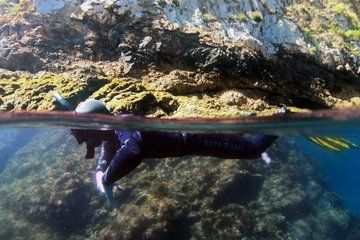 Double Snorkeling Exit in Faial, Azores