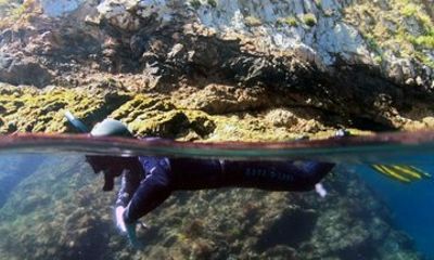 Double Snorkeling Exit in Faial, Azores
