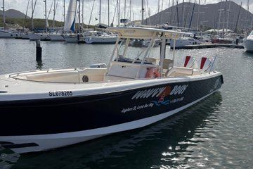 Private Group Charter Saint Lucia Coat Line Tour