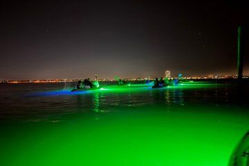 Sharkey's Glass Bottom Kayak Night Tour with Fish Feeding!