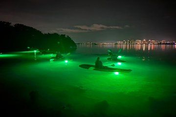 Sharkey's Glass Bottom LED Illuminated Kayak Night Tour