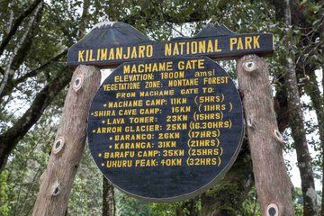 Kilimanjaro One Day Hike Tour Via Machame Route
