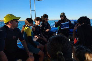 Tour Isla Espiritu Santo