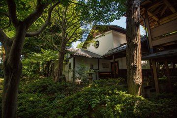 Snow Monkeys and Obuse Private Sake and Miso Brewery Experience