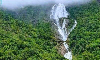 Dudhsagar Waterfalls Tour Jeep Safari and Spice Plantation Visit