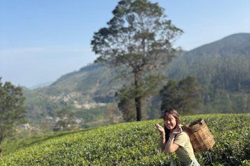 Private Full Day Nuwara Eliya Tour from Kandy