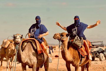 Marrakech Camel Ride in Palm Grove Palmeraie with Hotel Pickup
