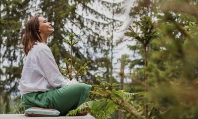 Woodland Immersion Retreat Half Day Spa Wellness Experience