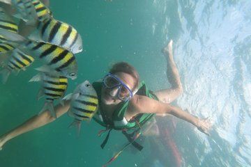 Snorkel and Mangroves in Cartagena with Lunch