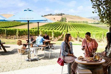 Small Group Yarra Valley Redwood Wine Tour from Melbourne