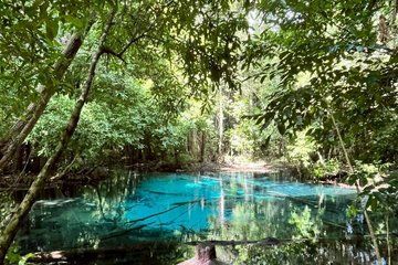 Krabi Jungle Tour, Small Group of 9, Full Day with Lunch