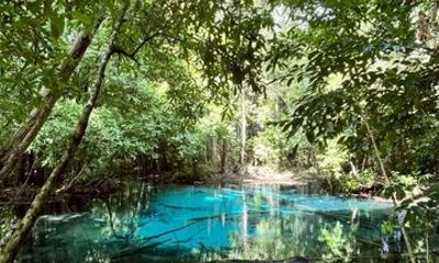 Krabi Jungle Tour, Small Group of 9, Full Day with Lunch