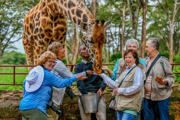 Karen Blixen Beads Factory Giraffe Center and Bomas Tour