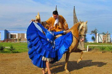 Marinera Show with Peruvian Paso Horses in Trujillo