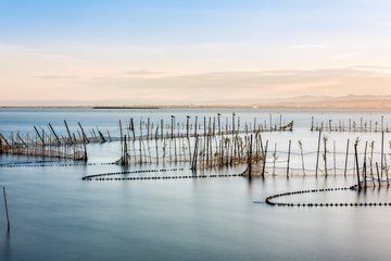 Private Guided Tour to Albufera Natural Park