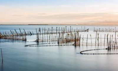 Albufera Nature Reserve & Orange Orchard Farm: Private Tour