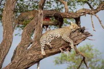 Cheetah Outreach and Wine Tasting Tour