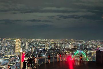 Private Tour - Singapore Night with MBS SkyPark and River Cruise