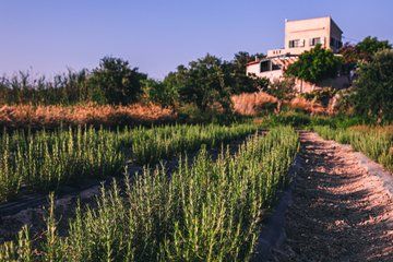 Cretan Farm Tour and Folklore Collection Visit