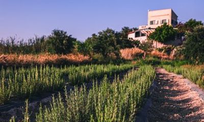 Cretan Farm Tour and Folklore Collection Visit