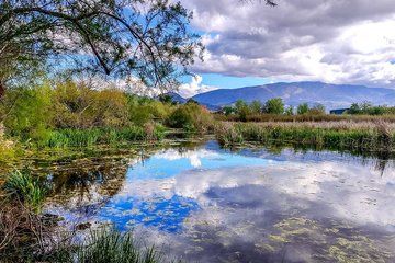 Motril - The Sugar People