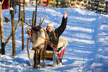 Reindeer Ride Husky Meet and Greet with Santa Claus Village