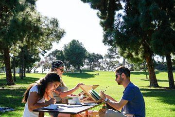 Experience the Art of Painting with Watercolors