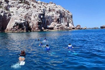 Isla Espiritu Santo and Balandra All Inclusive Tour