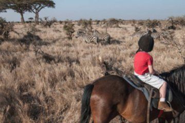 Aquila Horseback Safari and Wine Tasting Experience