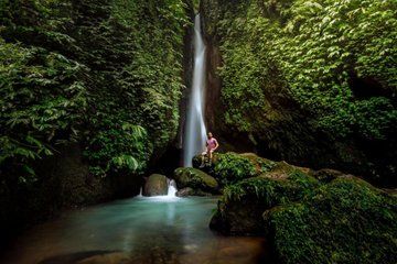 Private Tour Sangeh Monkey Forest Leke Leke and Jatiluwih