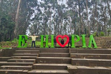 Private Addis Ababa Layover Tour Lucy Museum Mercato and More