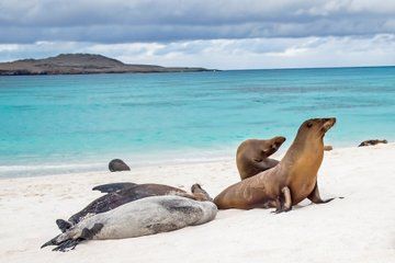 5 Day Galapagos Land Based Adventure
