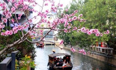 Zhujiajiao Water Town and Shanghai City Private Day Tour