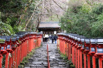Hidden Kyoto Private Forest Hike from Kurama to Kibune