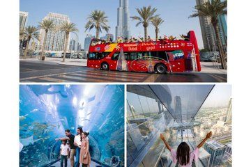 City Sightseeing Dubai Hop On Hop Off Bus Tour, Aquarium & More