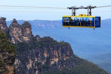 Blue Mountains Bushwalk and Wildlife Truly Private Tour