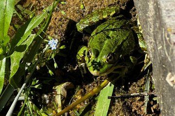 Waterfalls Highlights Tour Small Group and Scenic Walks