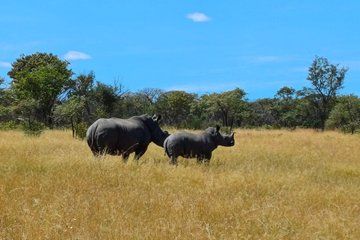 12 Day Grand Zimbabwe Explorer Tour
