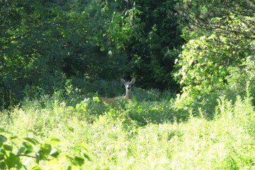 Durham Region E Bike Tours