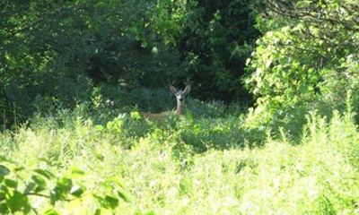 Durham Region E Bike Tours