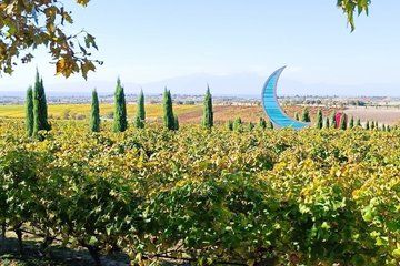 Gerovassiliou Winery Tour with Professional Sommelier