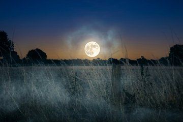 Haunted Highways Exclusive Tour