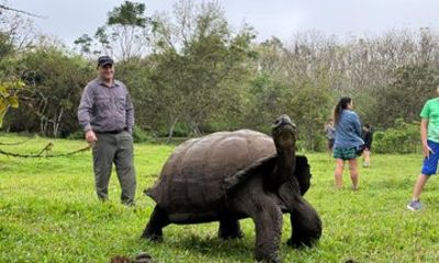 Santa Cruz Craters and Tunnels Tour of Lava and Turtles