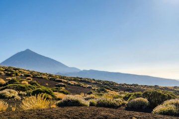 Private Guided Tour to Teide and North Tenerife