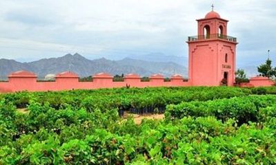 Paracas Ica Huacachina Tour with Vineyard Lunch