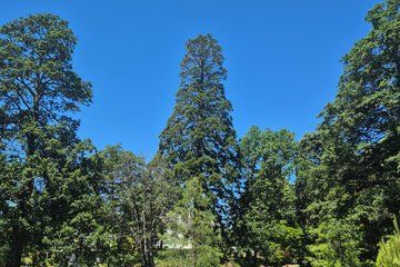 Christchurch Scenic Highlights 7 Hours Private Tour